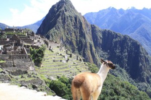 viaje en perú (9)